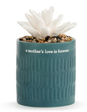 Load image into Gallery viewer, Succulent Oil Diffuser
