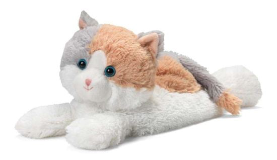 Calico cat