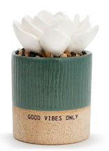 Load image into Gallery viewer, Succulent Oil Diffuser
