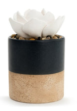 Load image into Gallery viewer, Succulent Oil Diffuser
