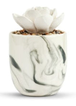Load image into Gallery viewer, Succulent Oil Diffuser
