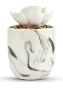 Succulent Oil Diffuser