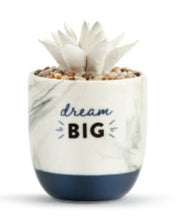 Load image into Gallery viewer, Succulent Oil Diffuser
