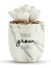 Load image into Gallery viewer, Succulent Oil Diffuser
