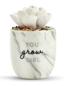 Succulent Oil Diffuser