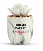 Load image into Gallery viewer, Succulent Oil Diffuser

