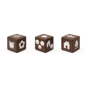 Conversation Dice Set