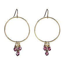 Load image into Gallery viewer, Dangle Hoop Earrings
