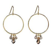 Load image into Gallery viewer, Dangle Hoop Earrings
