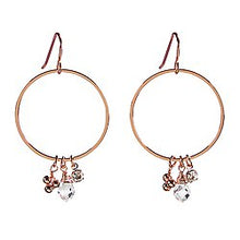 Load image into Gallery viewer, Dangle Hoop Earrings
