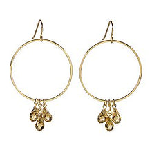Load image into Gallery viewer, Dangle Hoop Earrings
