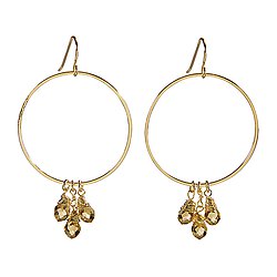 Dangle Hoop Earrings