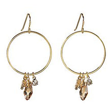 Load image into Gallery viewer, Dangle Hoop Earrings
