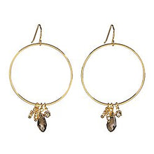 Load image into Gallery viewer, Dangle Hoop Earrings
