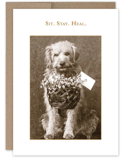 Sit. Stay. Heal. Get Well Card